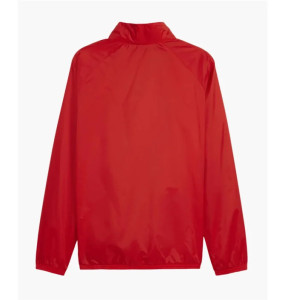 Куртка Puma teamGOAL All Weather Jacket 659038-01