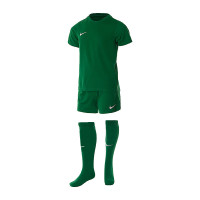 Футбольна форма Nike LK NK DRY PARK20 KIT SET K CD2244-302