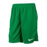 Шорти тренувальні Nike Y NK DF PARK III SHORT NB K BV6865-302