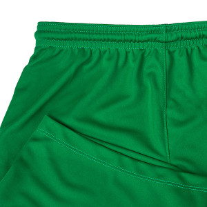 Шорти тренувальні Nike Y NK DF PARK III SHORT NB K BV6865-302