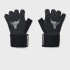Рукавиці Project Rock Training GL Under Armour 1353074 003