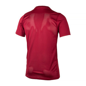 Футболка Nike Dri-FIT Park VII BV6708-677