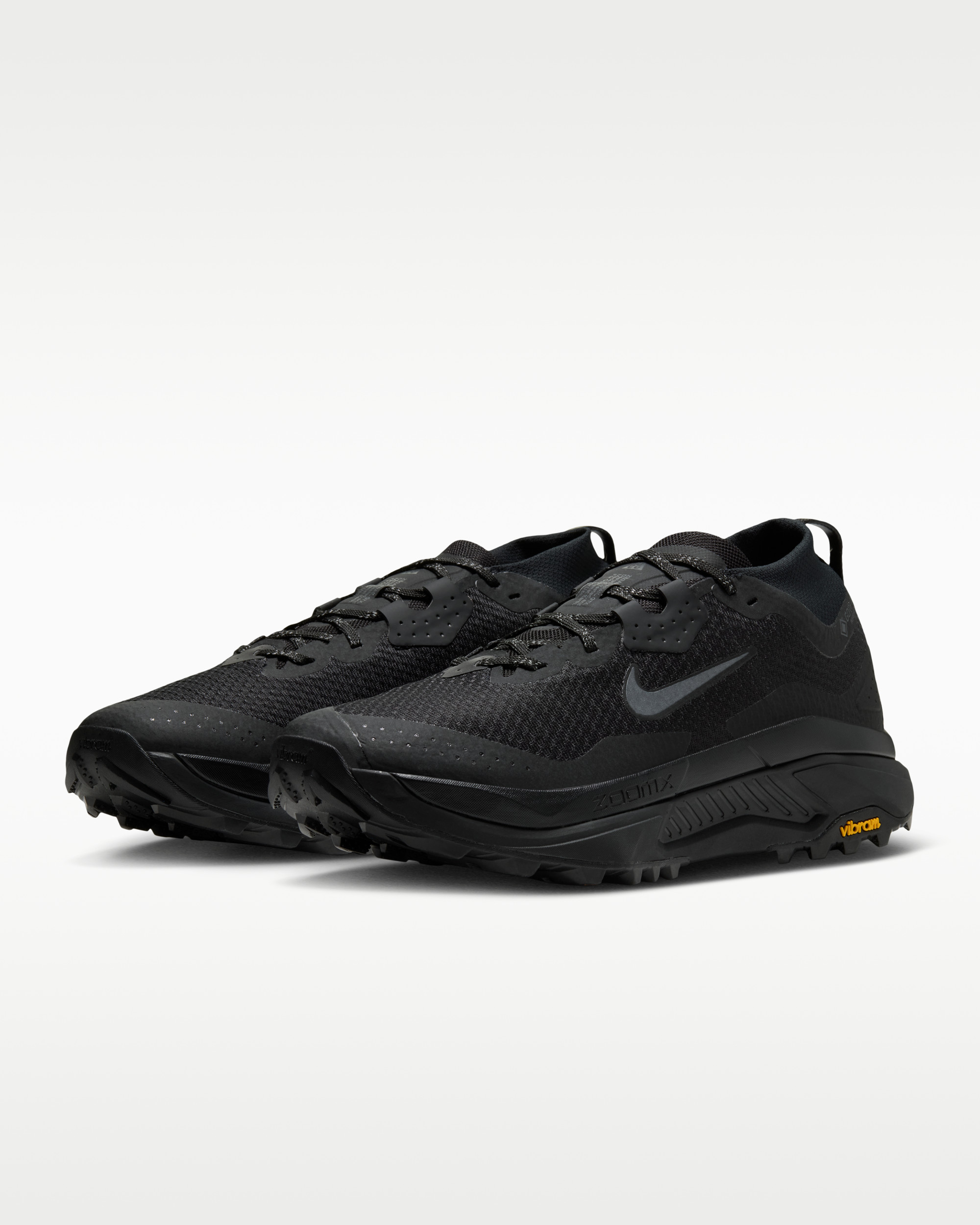 Кросівки Nike ACG ZEGAMA TRAIL GTX IO7932-002