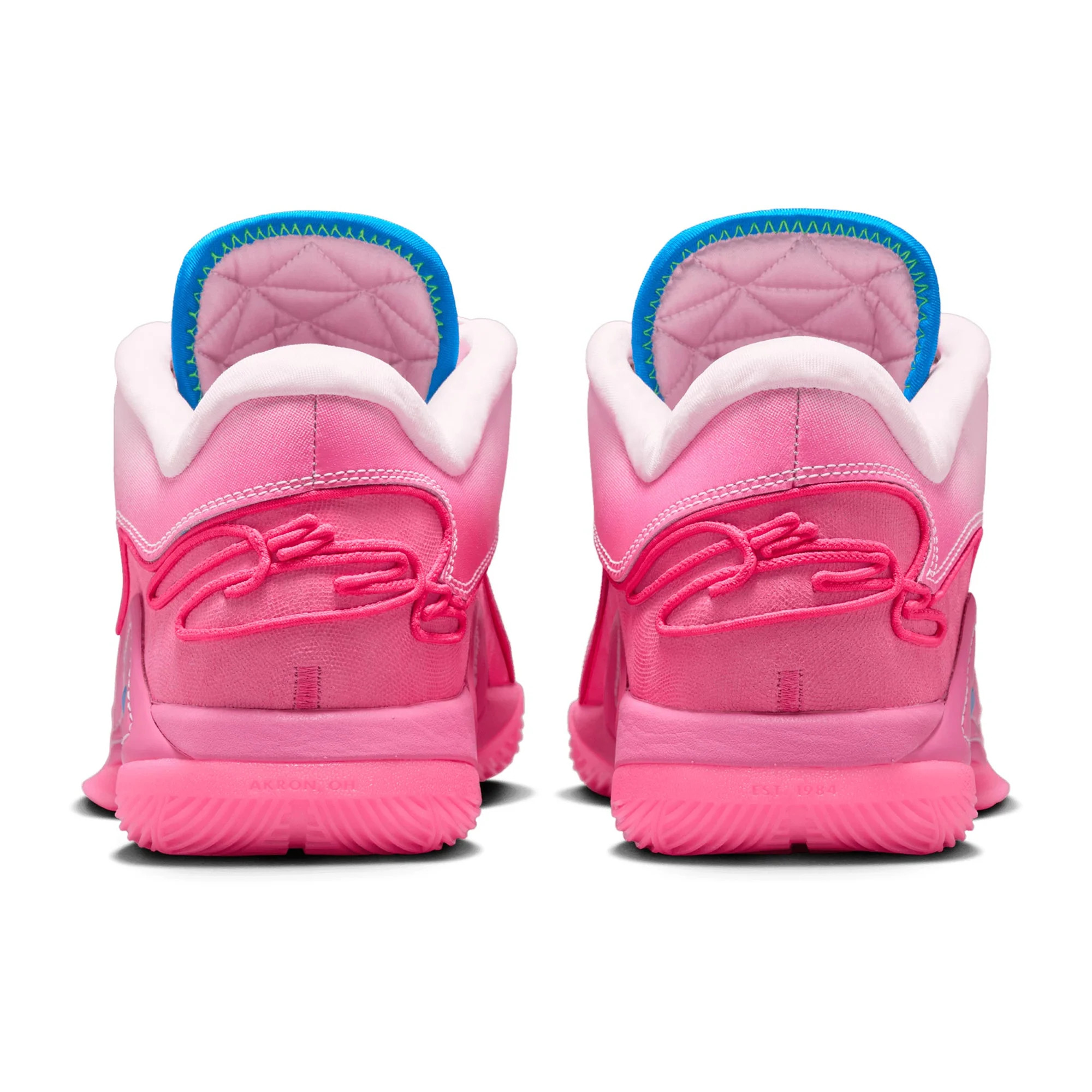 Кросівки Nike LEBRON XXII SN HV8455-600