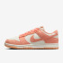 Кросівки Nike Dunk Low Next Nature Apricot Agate (W) HJ7673-003