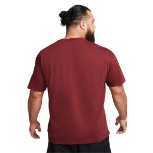 Футболка Nike SB TEE LOGO HBR CV7539-619