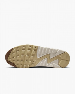 Кросівки Nike Air Max 90 Neapolitan (W) DZ4704-100