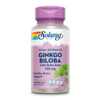 Капсули Solaray Ginkgo Biloba Extract One 120mg - 30 vcaps 2023-10-6737