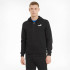 Толстовка ESS Small Logo FZ Hoodie 58670201 Puma L Чорний 58670201