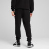 Штани Puma ESS ELEVATED Pants TR cl 68472901