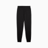 Штани Puma ESS ELEVATED Pants TR cl 68472901