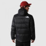 Куртка Himalayan Light 0A7X16JK31 THE NORTH FACE S Чорний 0A7X16JK31