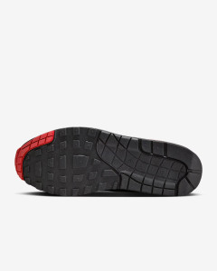 Кросівки Nike AIR MAX 1 ESS FZ5808-008