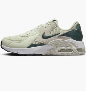 Кросівки Nike WMNS AIR MAX EXCEE CD5432-011