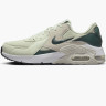 Кросівки Nike WMNS AIR MAX EXCEE CD5432-011