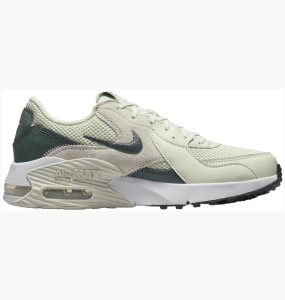 Кросівки Nike WMNS AIR MAX EXCEE CD5432-011