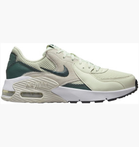 Кросівки Nike WMNS AIR MAX EXCEE CD5432-011