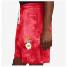 Шорти Nike Sportswear French Terry Shorts DM5016-657