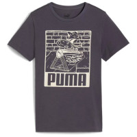 Футболка ESS+ MID 90s Graphic Tee B 681873-69