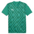 Футболка Puma teamGLORY Jersey 705740-05