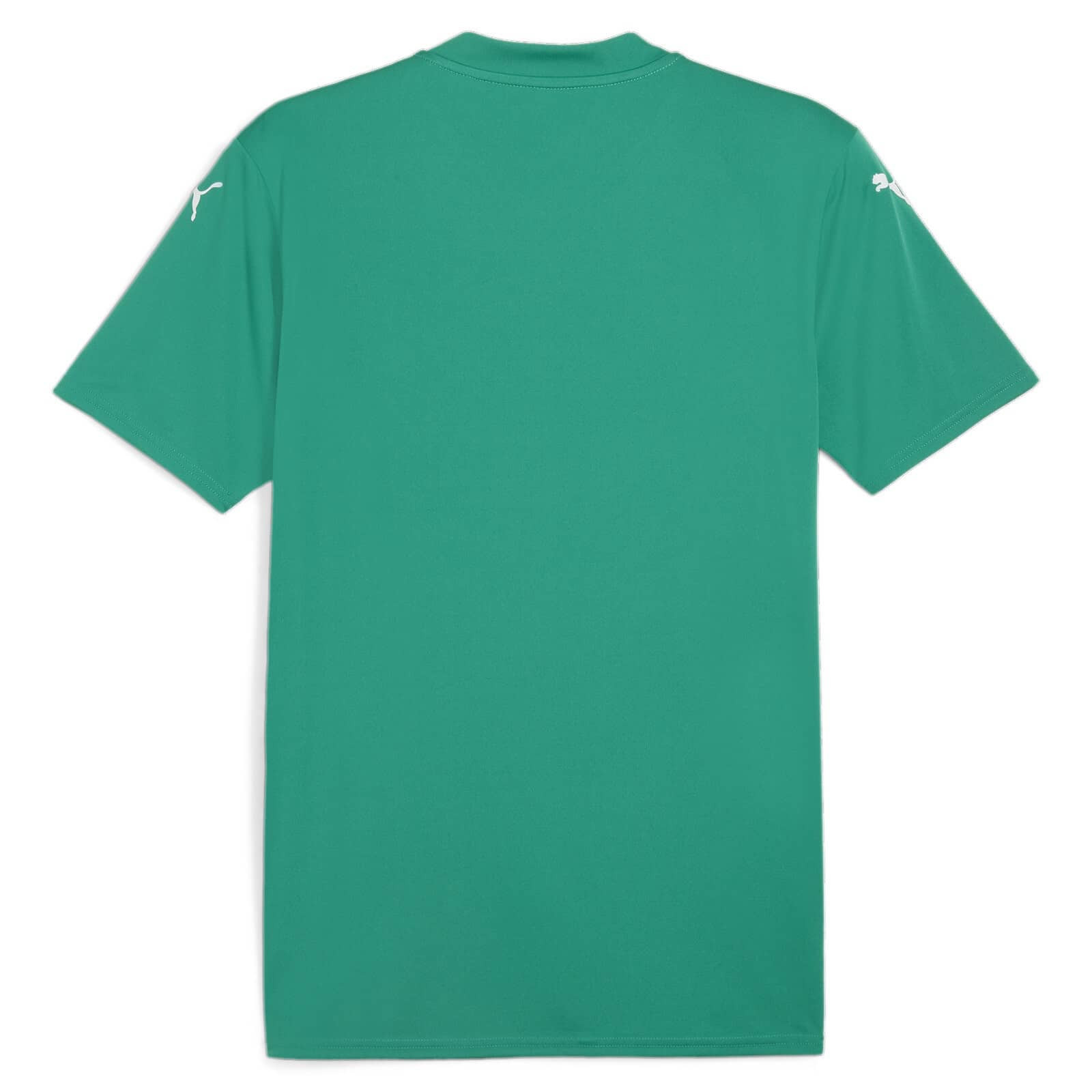 Футболка Puma teamGLORY Jersey 705740-05