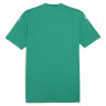 Футболка Puma teamGLORY Jersey 705740-05