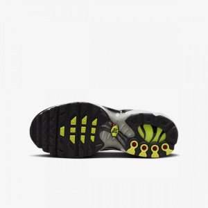 Кросівки Nike AIR MAX PLUS (GS) CD0609-022