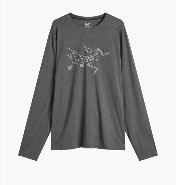 Лонгслів ARC'TERYX CORMAC LOGO LONG SLEEVE T-SHIRT X000008452