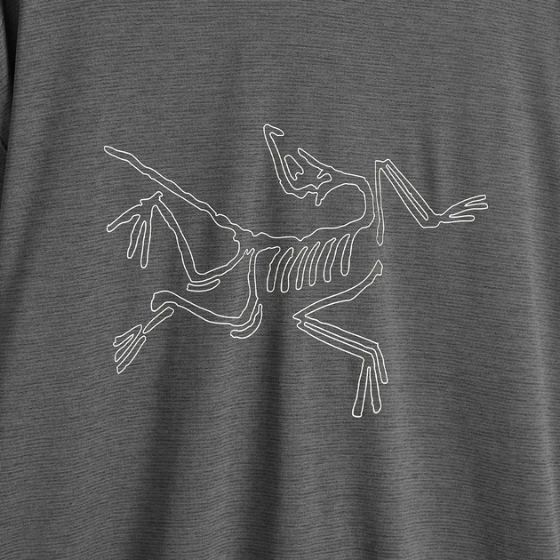 Лонгслів ARC'TERYX CORMAC LOGO LONG SLEEVE T-SHIRT X000008452