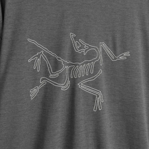 Лонгслів ARC'TERYX CORMAC LOGO LONG SLEEVE T-SHIRT X000008452