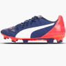 Бутси Puma evoPower 2.2 FG 103211-01