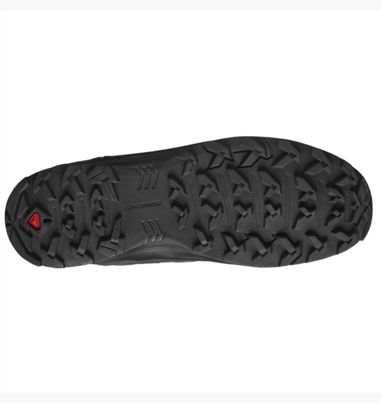 Кросівки SALOMON X BRAZE MID GTX 471748