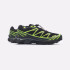 Кросівки Salomon XT-6 Neon Volt L47583000