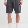 Шорти M ESSENTIAL LIGHT RELAXED SHORTS 0A8GQ9RHI1 THE NORTH FACE L Сірий 0A8GQ9RHI1