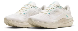Кросівки жіночі Nike Air Winflo 10 FQ6872-011