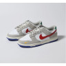 Кросівки NIKE DUNK LOW DV3497-001