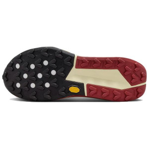 Кросівки Nike Zegama Trail 2 FD5191-101