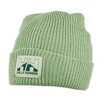 Шапка HELLY HANSEN NORD BEANIE 49481-406