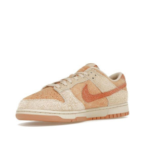 Кросівки Nike Dunk Low Burnt Sunrise HF5075-287