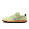Кросівки Nike SB DU LOW PRO PRM HQ1626-300
