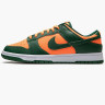 Nike Dunk Low DD1391-300
