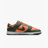 Nike Dunk Low DD1391-300