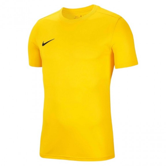 Футболка Nike M DF PARK VII JSY SS BV6708-719