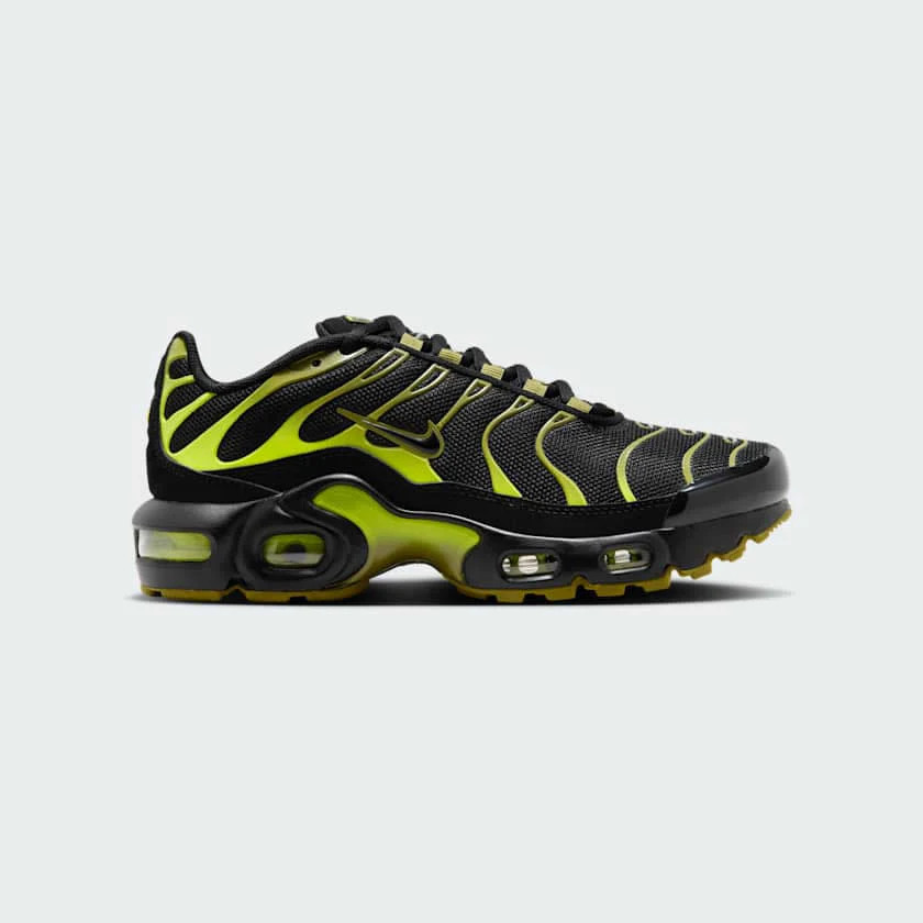Кросівки Nike Air Max Plus Grey CD0609-028