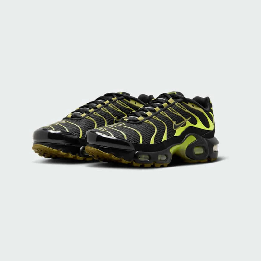 Кросівки Nike Air Max Plus Grey CD0609-028