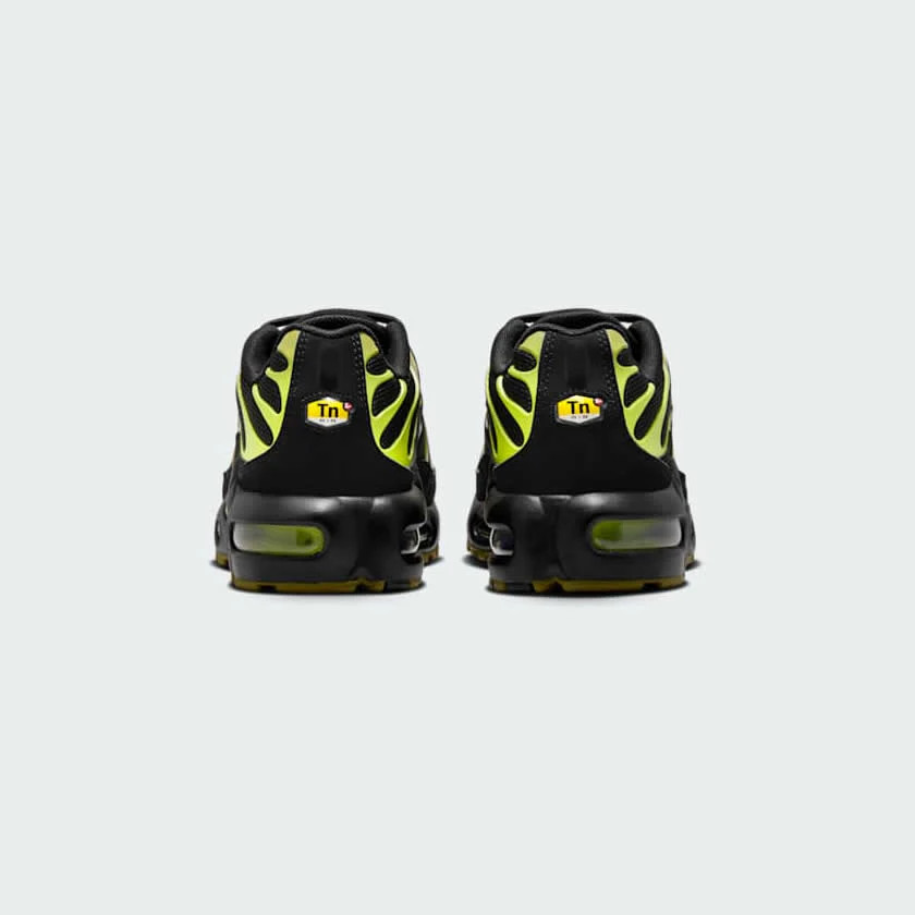 Кросівки Nike Air Max Plus Grey CD0609-028