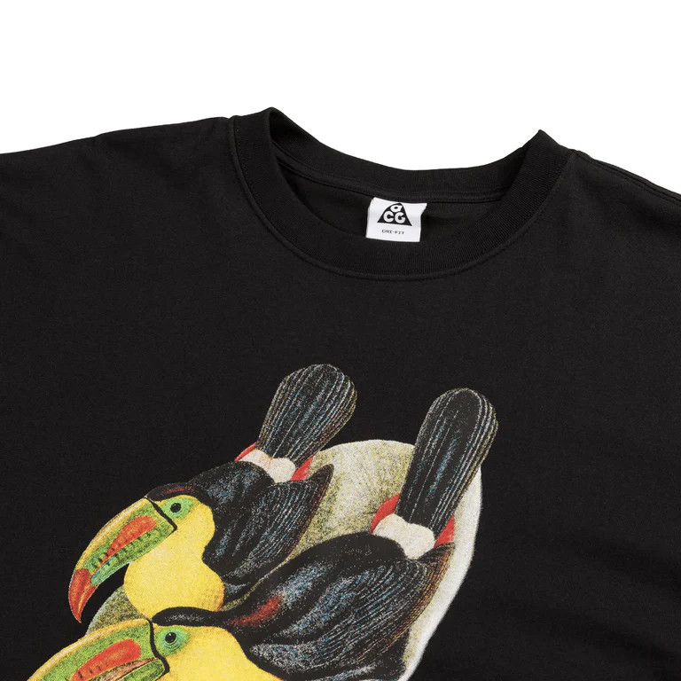 Футболка Nike ACG Toucan HJ0792-010