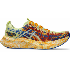 Кросівки чоловічі Asics NOOSA TRI 16 1011B872-751 1011B872-751