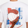 Футболка Nike M TEE LSE ASBURY HC IM6114-100