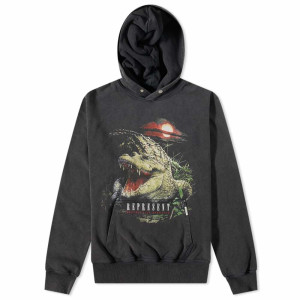 Худі Represent Destructive Appetite Hoodie Vintage Grey M04271-20